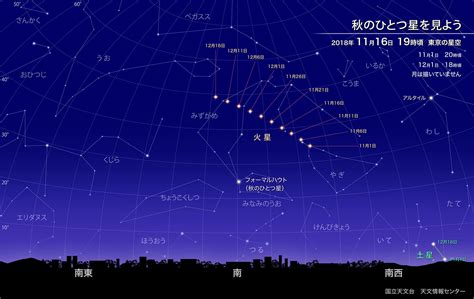 11月23號星座